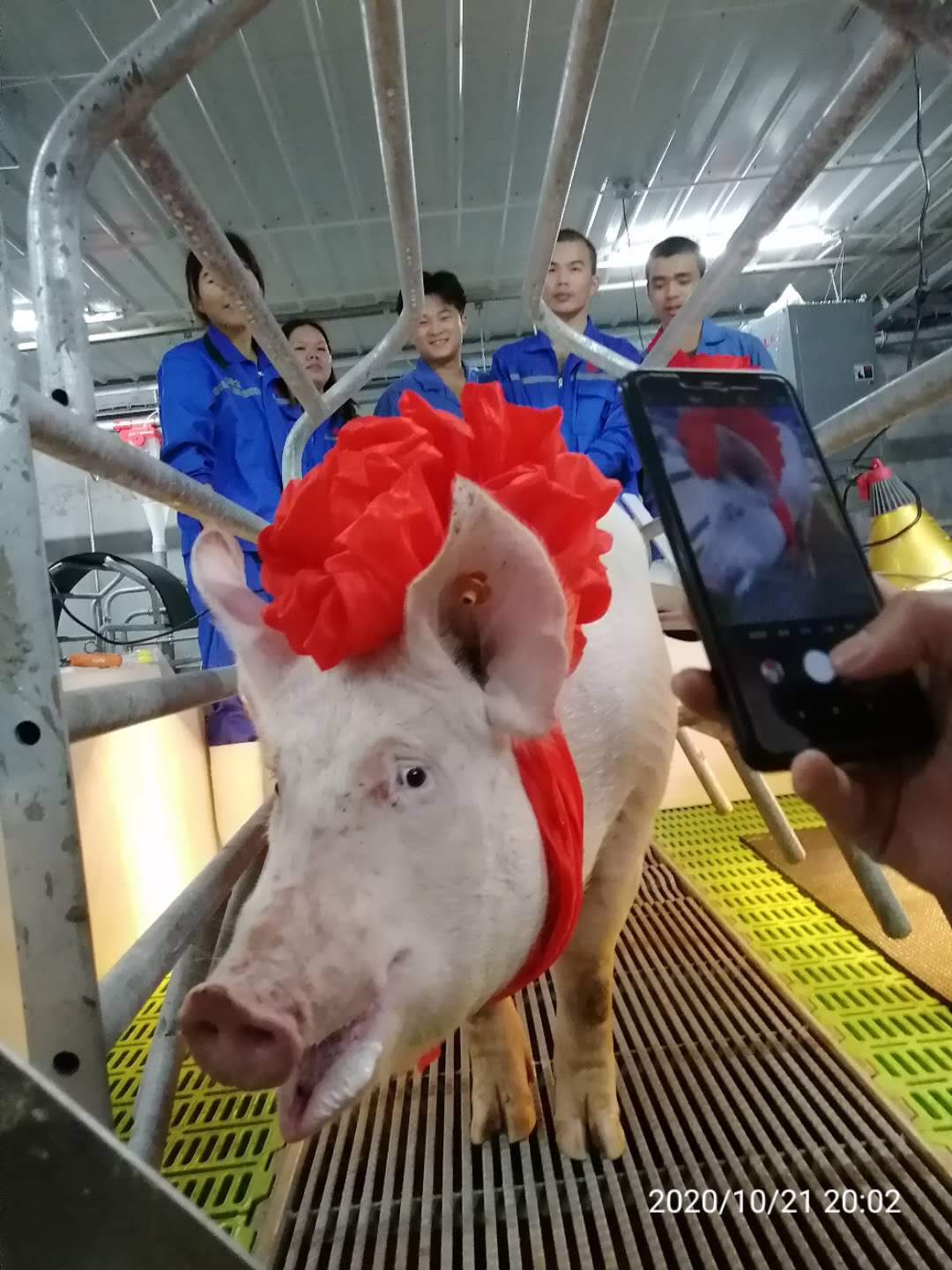 PA�콢��ƽ̨(�й���)�ٷ���վ-PA PlayAce