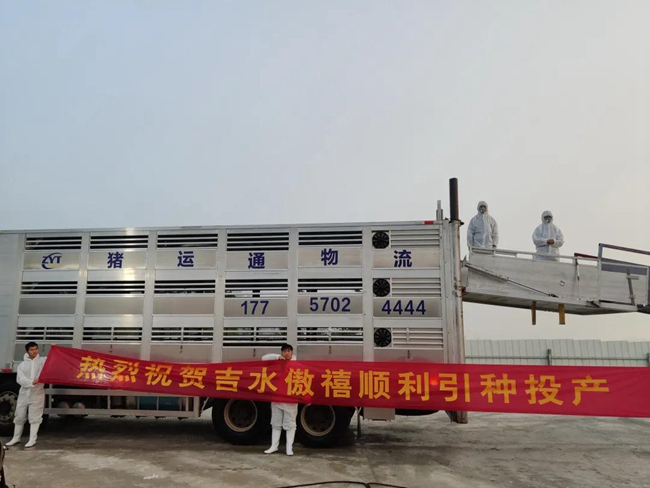 PA�콢��ƽ̨(�й���)�ٷ���վ-PA PlayAce