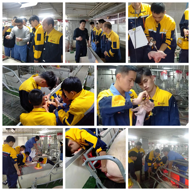 PA旗舰厅平台(中国区)官方网站-PA PlayAce