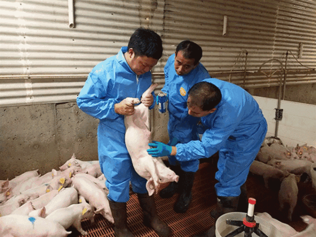 PA�콢��ƽ̨(�й���)�ٷ���վ-PA PlayAce