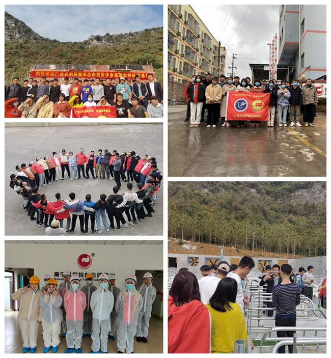 PA旗舰厅平台(中国区)官方网站-PA PlayAce