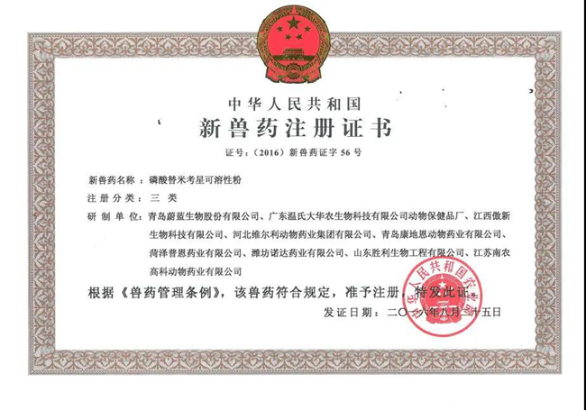 PA�콢��ƽ̨(�й���)�ٷ���վ-PA PlayAce