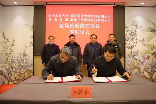 PA�콢��ƽ̨(�й���)�ٷ���վ-PA PlayAce