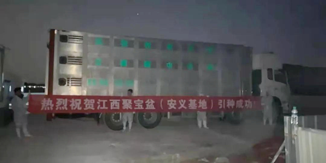 PA�콢��ƽ̨(�й���)�ٷ���վ-PA PlayAce