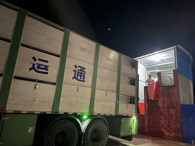 PA�콢��ƽ̨(�й���)�ٷ���վ-PA PlayAce