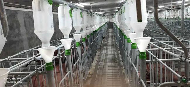 PA�콢��ƽ̨(�й���)�ٷ���վ-PA PlayAce