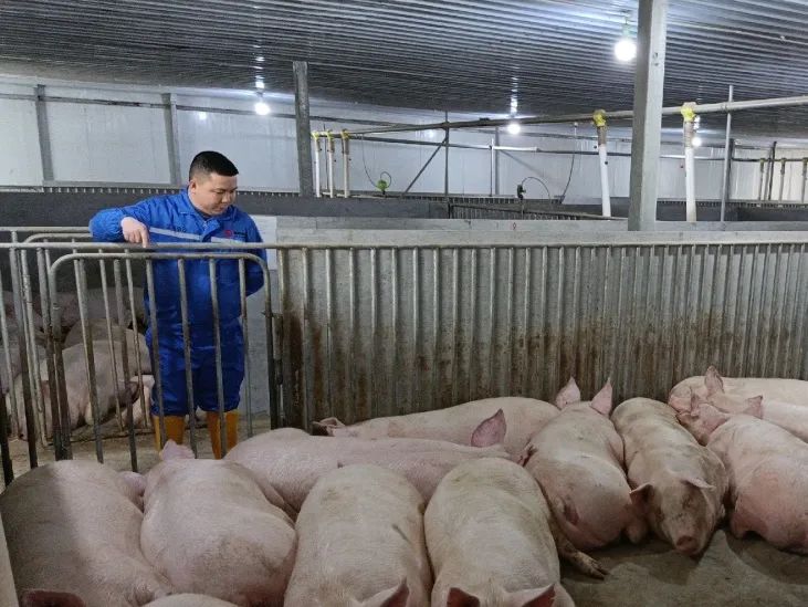 PA旗舰厅平台(中国区)官方网站-PA PlayAce