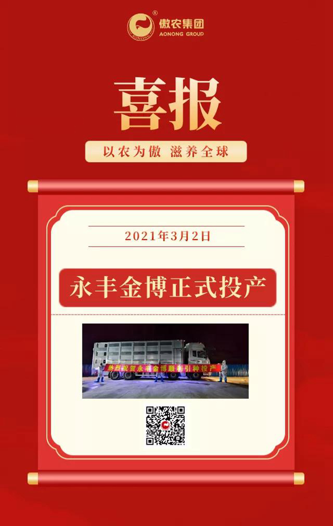 PA�콢��ƽ̨(�й���)�ٷ���վ-PA PlayAce