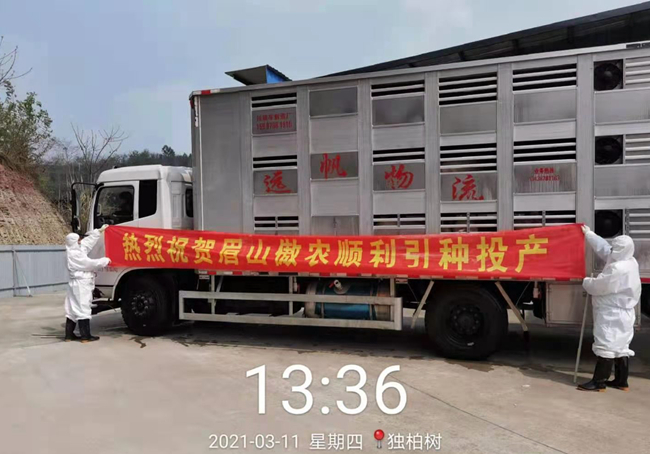 PA�콢��ƽ̨(�й���)�ٷ���վ-PA PlayAce