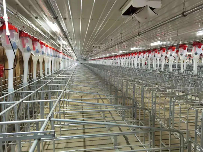 PA�콢��ƽ̨(�й���)�ٷ���վ-PA PlayAce