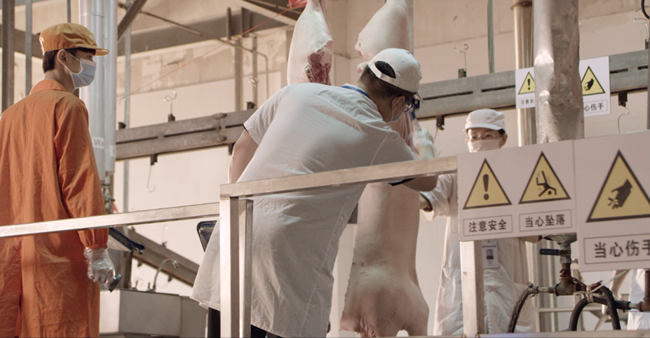 PA�콢��ƽ̨(�й���)�ٷ���վ-PA PlayAce