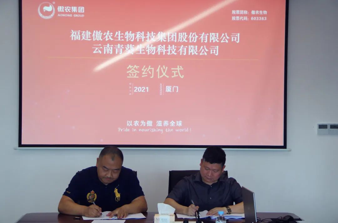 PA�콢��ƽ̨(�й���)�ٷ���վ-PA PlayAce