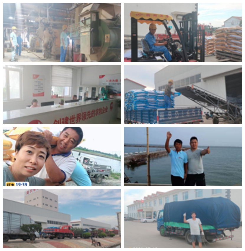 PA�콢��ƽ̨(�й���)�ٷ���վ-PA PlayAce