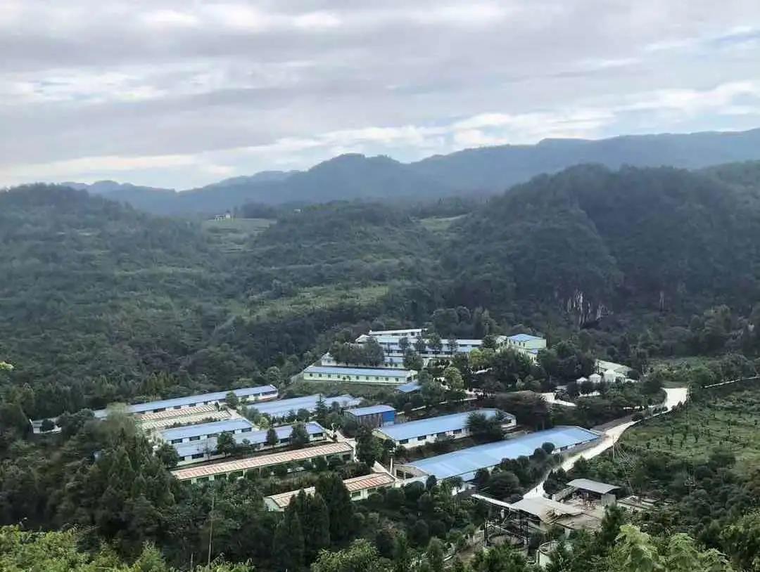 PA�콢��ƽ̨(�й���)�ٷ���վ-PA PlayAce