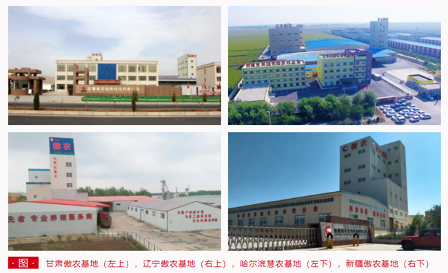 PA�콢��ƽ̨(�й���)�ٷ���վ-PA PlayAce