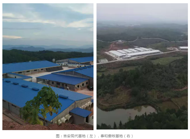 PA�콢��ƽ̨(�й���)�ٷ���վ-PA PlayAce