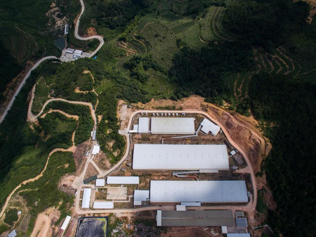 PA�콢��ƽ̨(�й���)�ٷ���վ-PA PlayAce