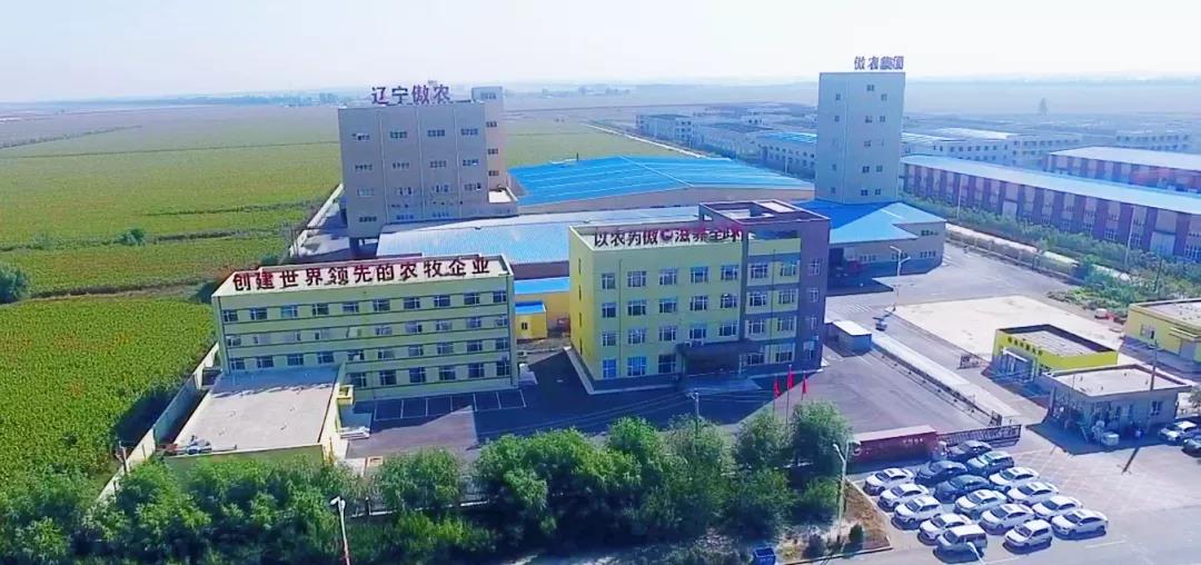 PA�콢��ƽ̨(�й���)�ٷ���վ-PA PlayAce