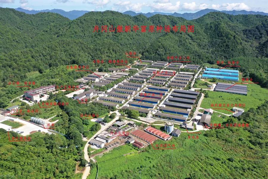 PA�콢��ƽ̨(�й���)�ٷ���վ-PA PlayAce