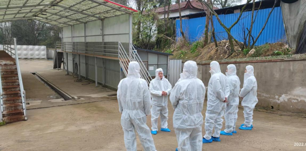 PA�콢��ƽ̨(�й���)�ٷ���վ-PA PlayAce