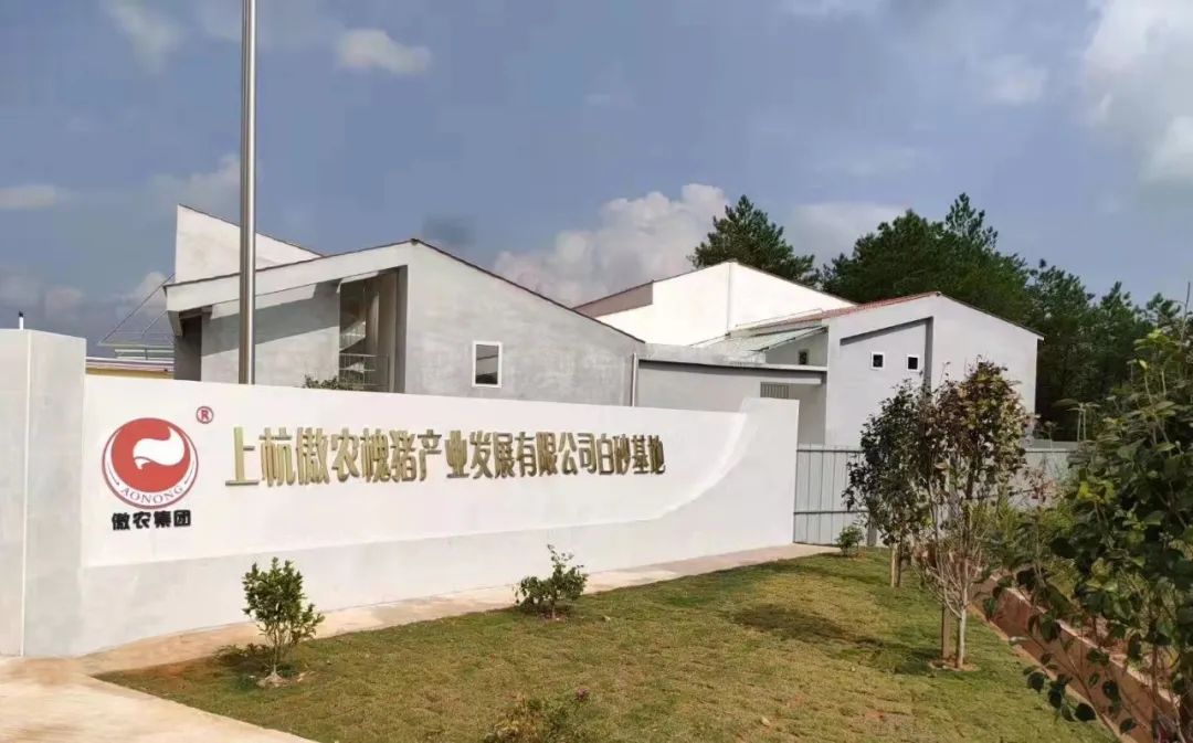 PA�콢��ƽ̨(�й���)�ٷ���վ-PA PlayAce