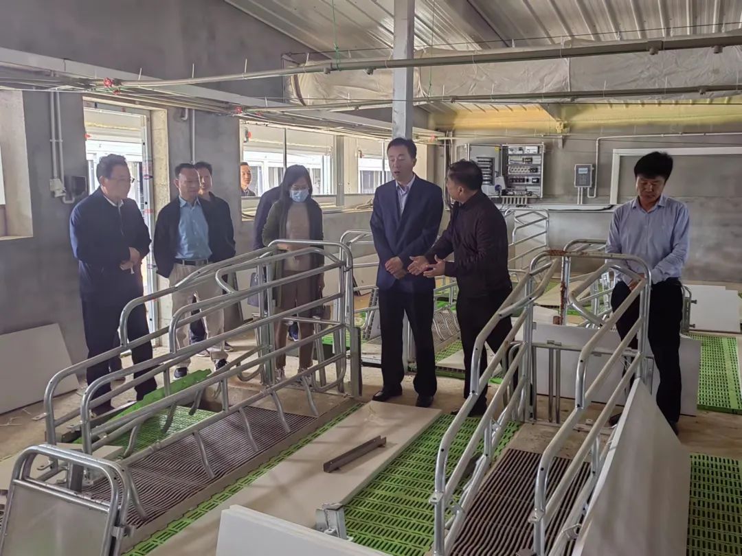 PA�콢��ƽ̨(�й���)�ٷ���վ-PA PlayAce