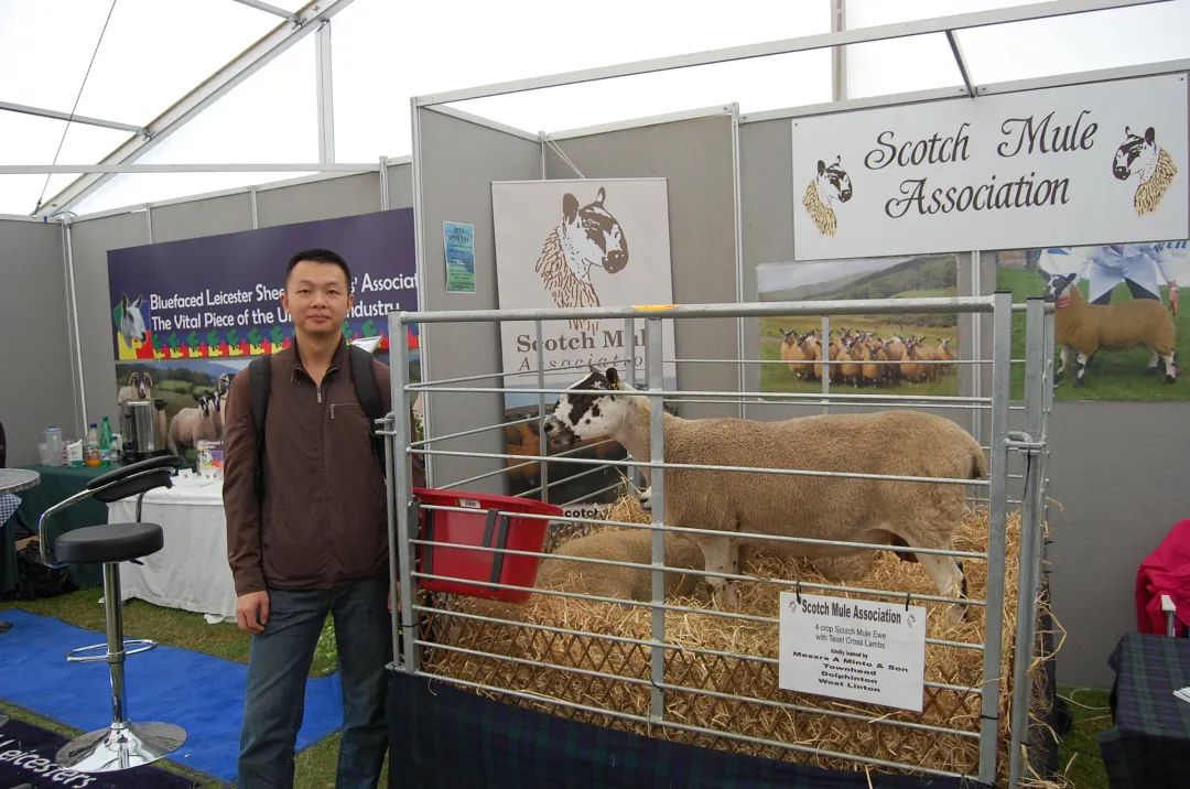 PA�콢��ƽ̨(�й���)�ٷ���վ-PA PlayAce