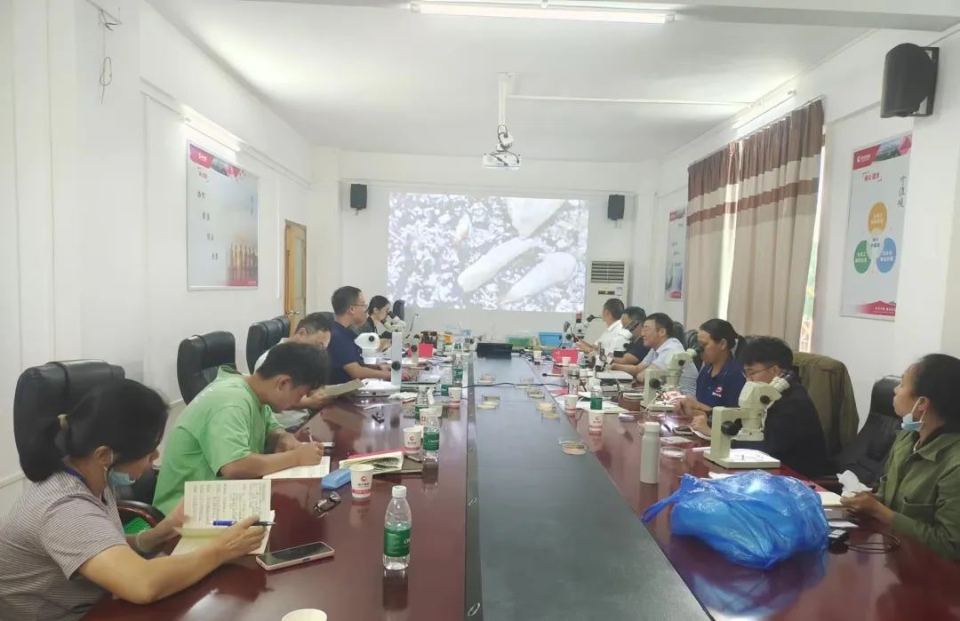 PA�콢��ƽ̨(�й���)�ٷ���վ-PA PlayAce