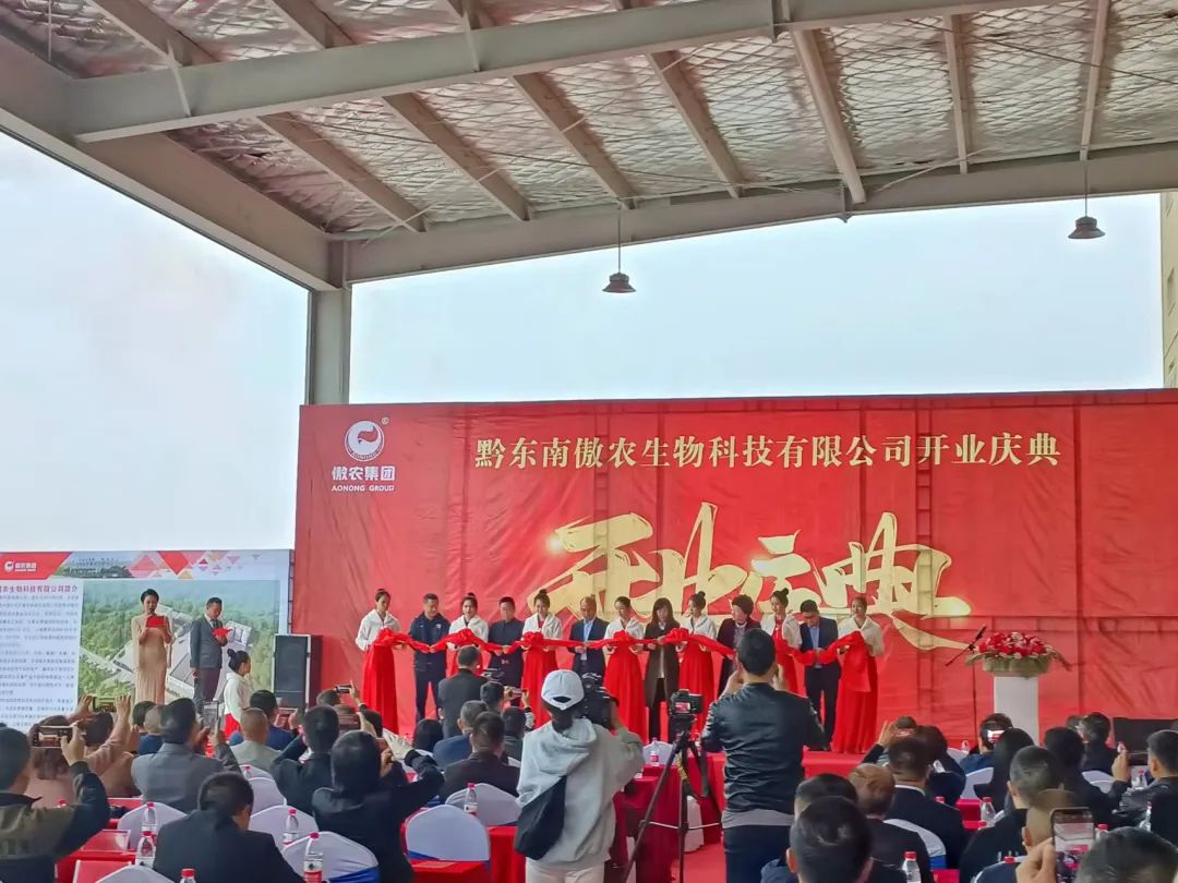 PA旗舰厅平台(中国区)官方网站-PA PlayAce