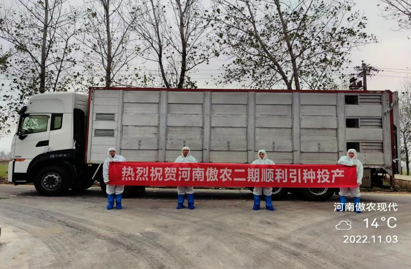 PA�콢��ƽ̨(�й���)�ٷ���վ-PA PlayAce