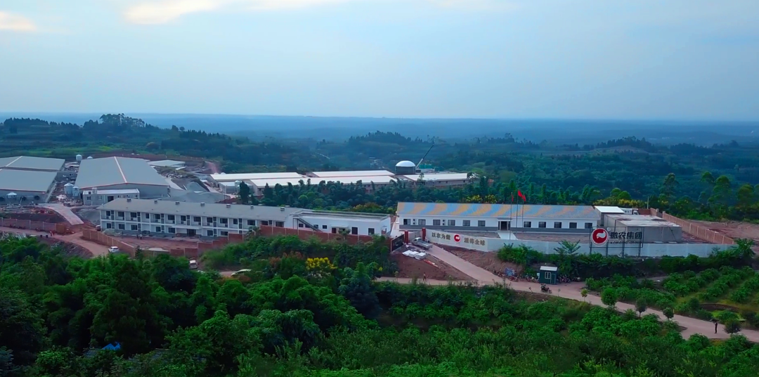 PA�콢��ƽ̨(�й���)�ٷ���վ-PA PlayAce