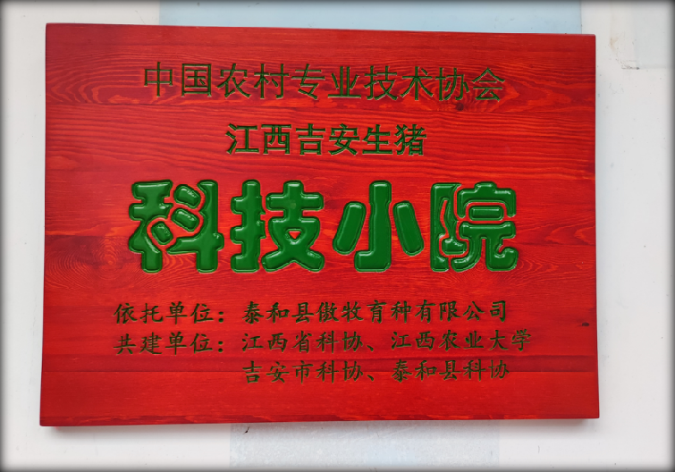 PA�콢��ƽ̨(�й���)�ٷ���վ-PA PlayAce