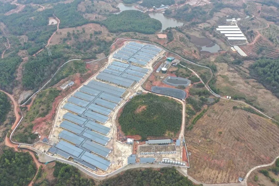 PA�콢��ƽ̨(�й���)�ٷ���վ-PA PlayAce