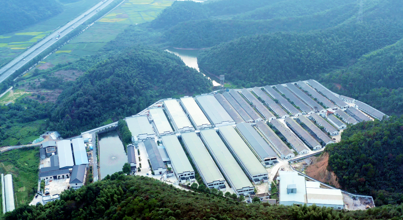 PA�콢��ƽ̨(�й���)�ٷ���վ-PA PlayAce