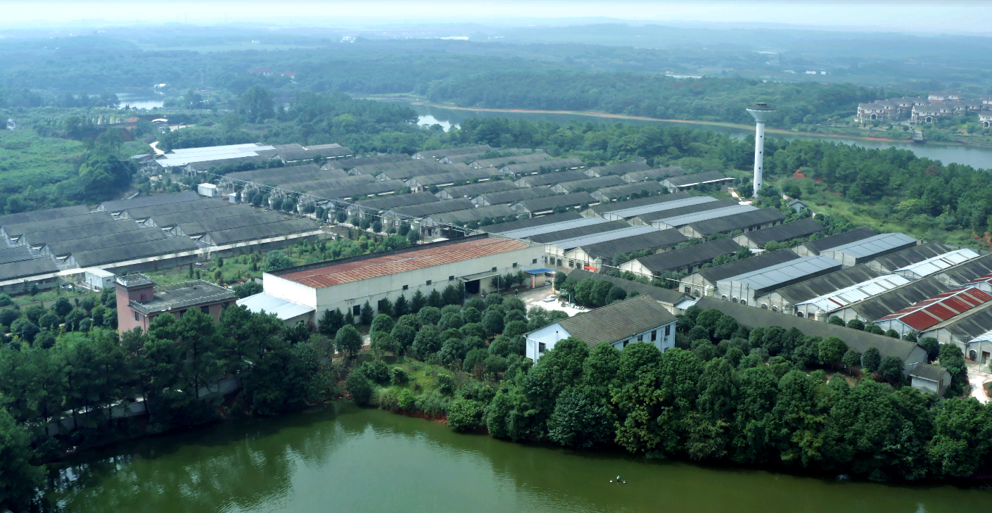 PA�콢��ƽ̨(�й���)�ٷ���վ-PA PlayAce