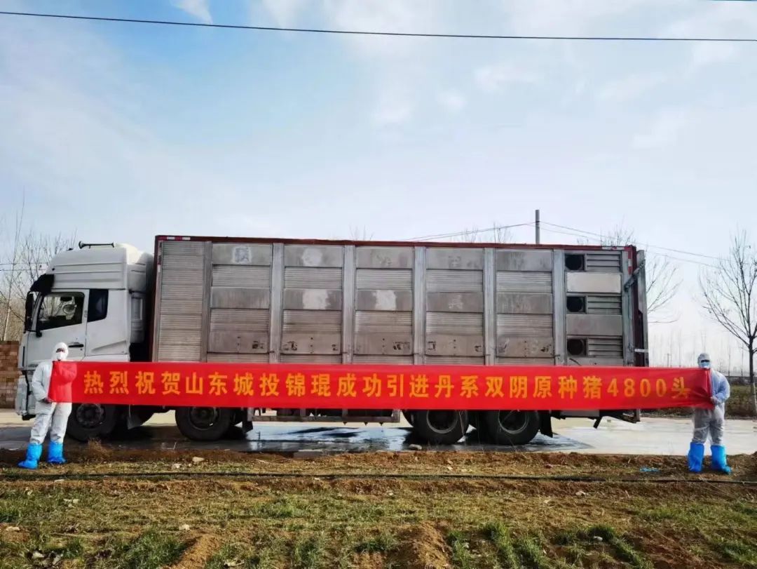 PA�콢��ƽ̨(�й���)�ٷ���վ-PA PlayAce