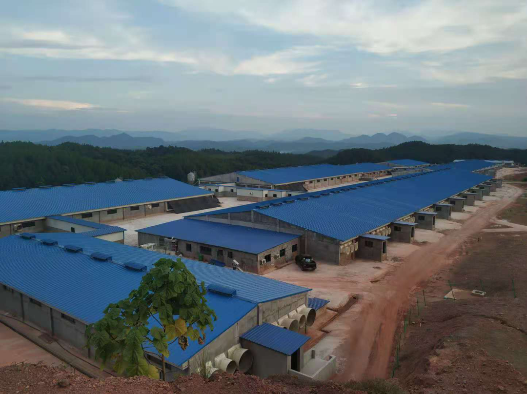 PA�콢��ƽ̨(�й���)�ٷ���վ-PA PlayAce