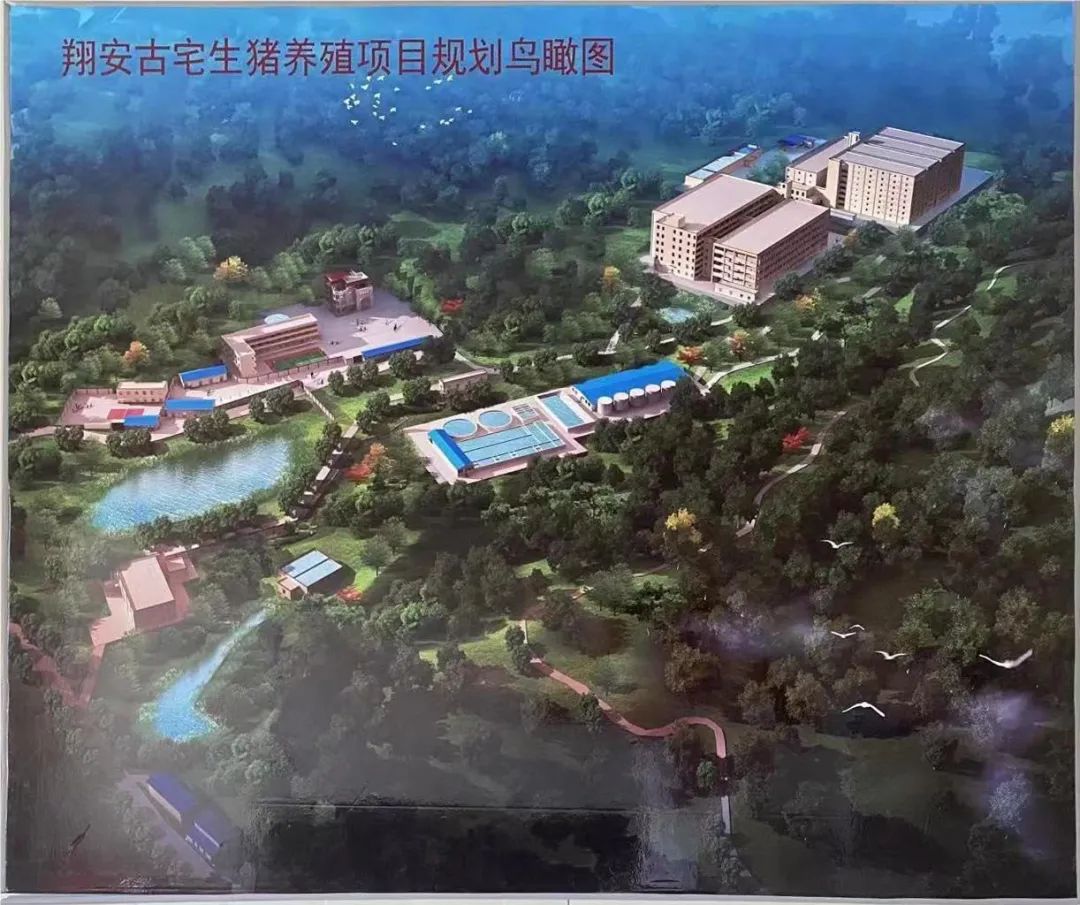 PA旗舰厅平台(中国区)官方网站-PA PlayAce