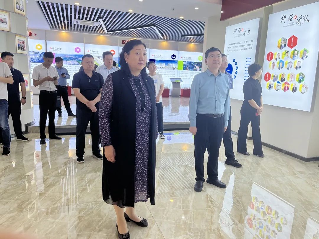 PA�콢��ƽ̨(�й���)�ٷ���վ-PA PlayAce