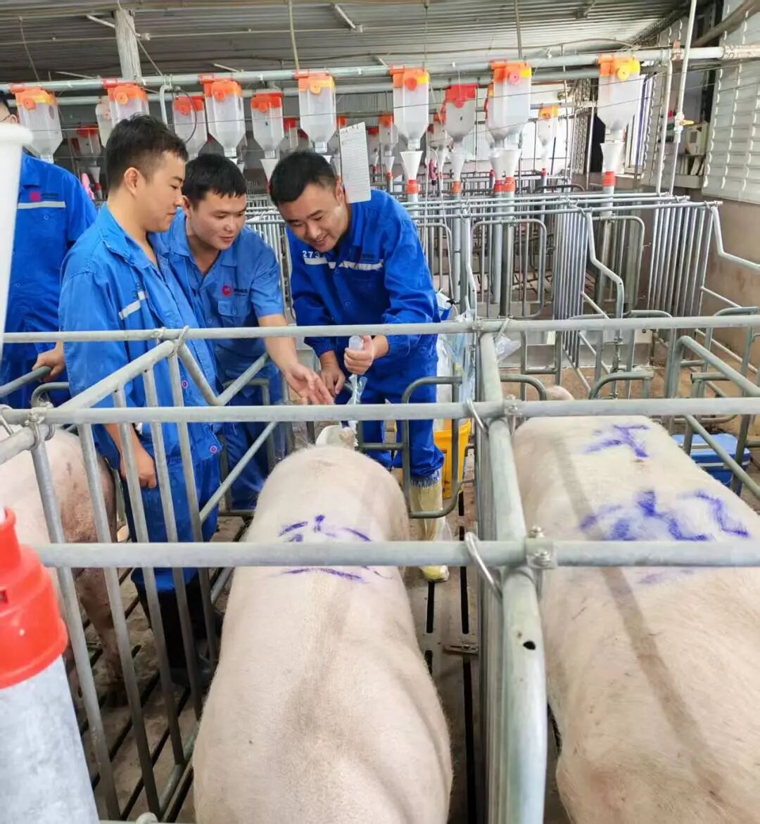 PA�콢��ƽ̨(�й���)�ٷ���վ-PA PlayAce