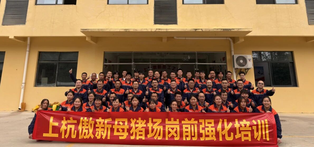 PA�콢��ƽ̨(�й���)�ٷ���վ-PA PlayAce