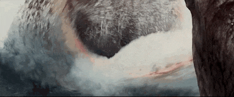 640?wx_fmt=gif ͼƬ