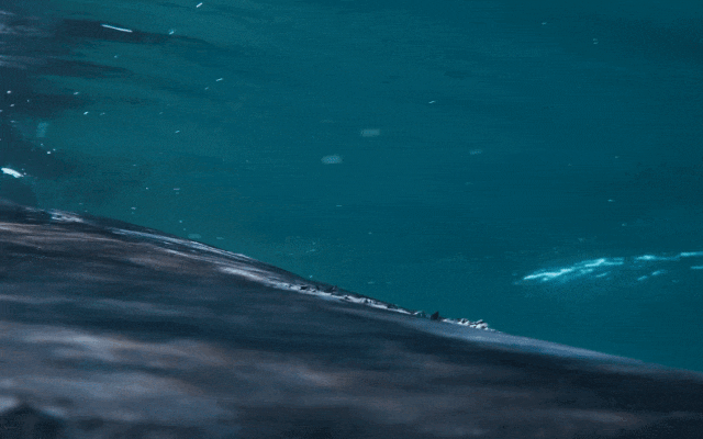 640?wx_fmt=gif ͼƬ