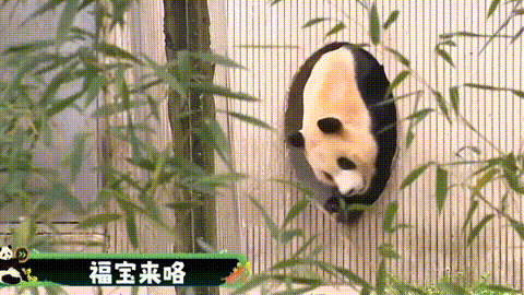 640?wx_fmt=gif&from=appmsg ͼƬ