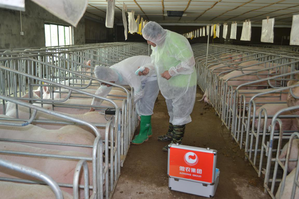 PA�콢��ƽ̨(�й���)�ٷ���վ-PA PlayAce