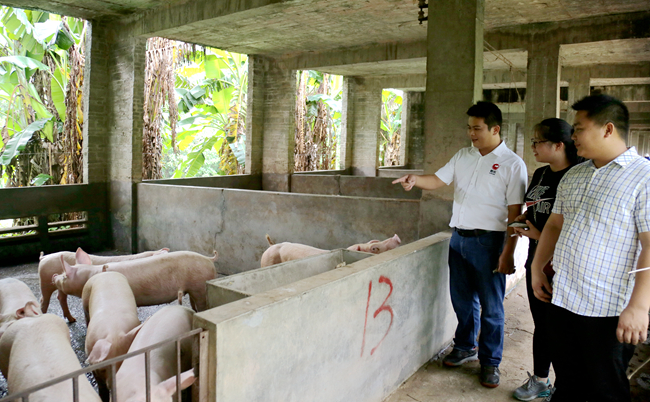 PA�콢��ƽ̨(�й���)�ٷ���վ-PA PlayAce