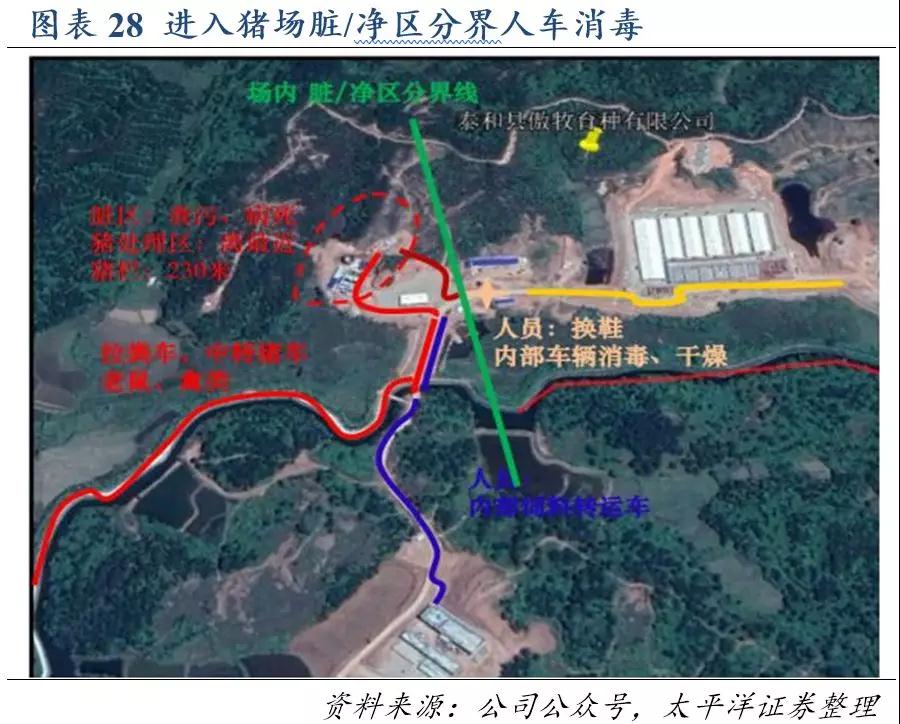 PAÆì½¢Ìüƽ̨(ÖйúÇø)¹Ù·½ÍøÕ¾-PA PlayAce