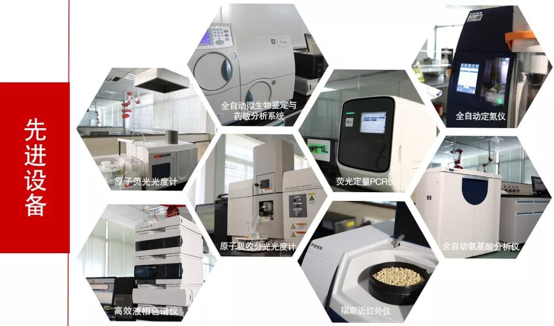 PAÆì½¢Ìüƽ̨(ÖйúÇø)¹Ù·½ÍøÕ¾-PA PlayAce