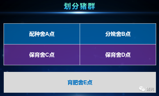 PA�콢��ƽ̨(�й���)�ٷ���վ-PA PlayAce