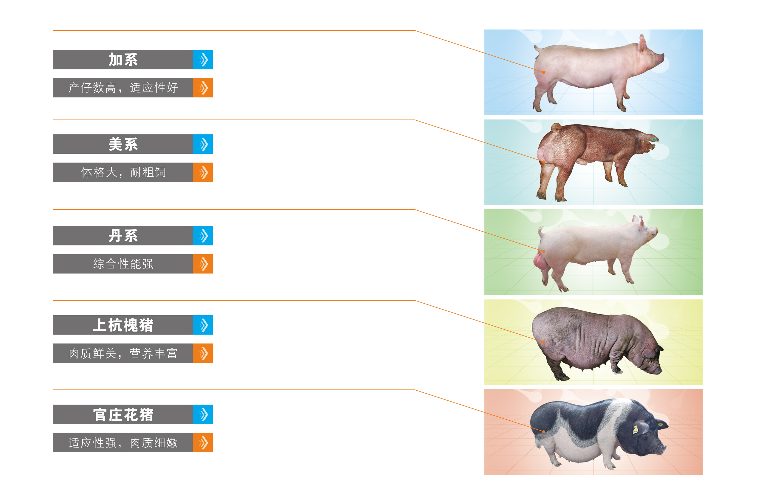 PA�콢��ƽ̨(�й���)�ٷ���վ-PA PlayAce